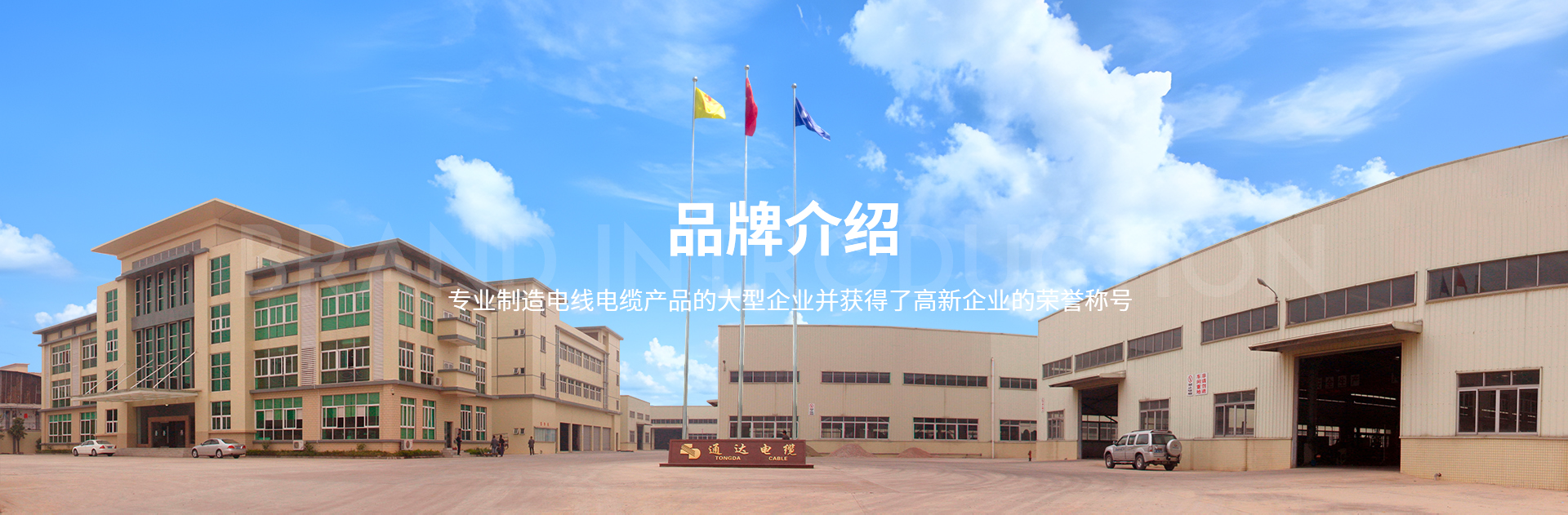 成长过程